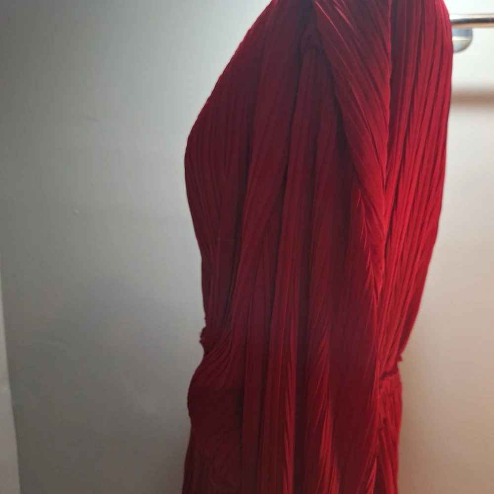 Zara Elegant Scarlet Long Sleeve Dress - Picture 2 of 4